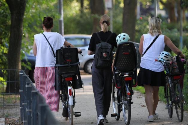 e bike pedale GOGOBEST E-Bike-Pedale