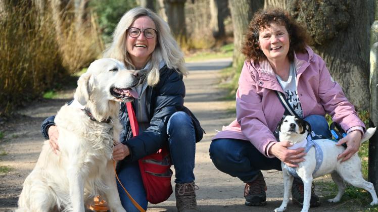 Ahrensburger Schloss: Wanderung mit Hund