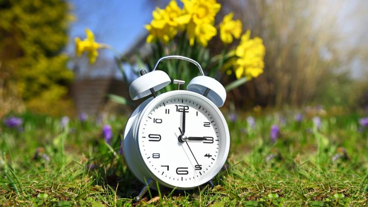 Zeitumstellung 2025: Mit Sprichwörtern Uhren richtig einstellen
