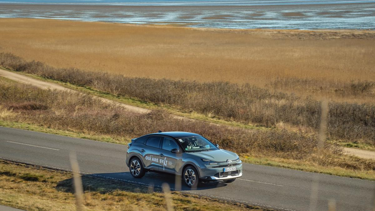 Stilvolle Autofahren Ohne Fuhrerschein Fotosnull