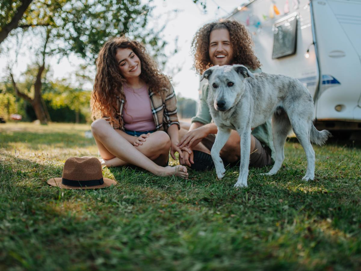 Camping mit dem Hund: Tipps fr einen stressfreien Urlaub 2025