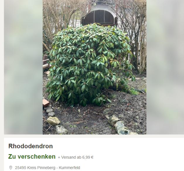 Garten-Schnppchen im Pinneberger Umland bei ebay Kleinanzeigen