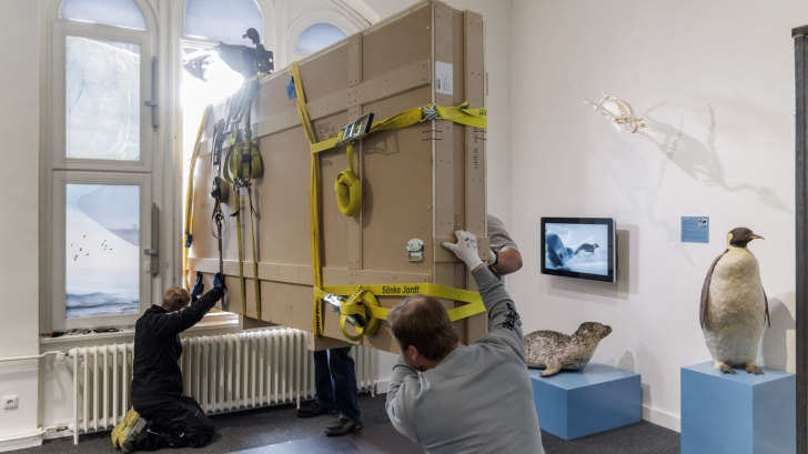 <p>Arbeiter heben eine Transportkiste durch ein Fenster in das Zoologische Museum Kiel. Vorsichtig wird die Transportkiste durch das Fenster gebracht.  (zu dpa: «Fischfossil kommt durchs Fenster»)</p>