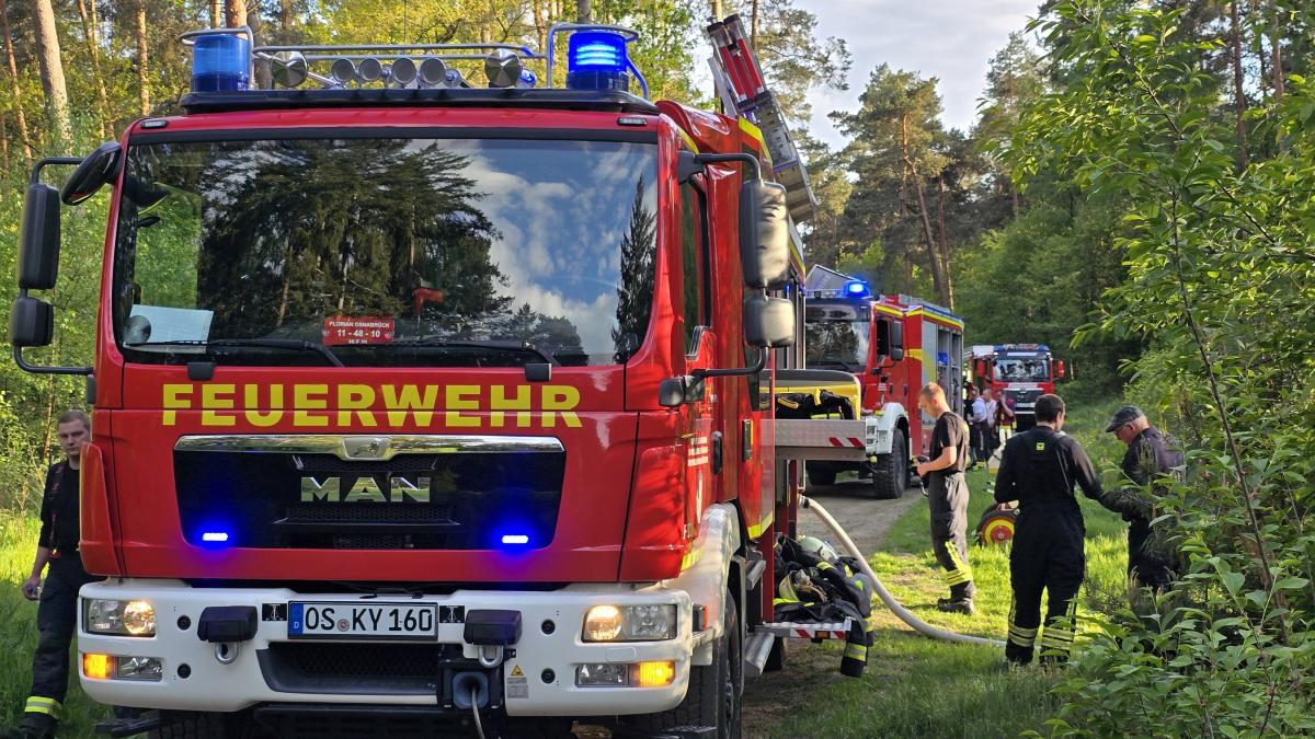 Waldbrand-in-F-rstenau-Feuerwehr-bek-mpft-Flammen
