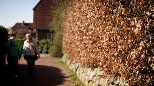 Was tun bei Streit mit den Nachbarn? 3 Tipps von Schiedsfrau Birgitt Becker aus Kiel