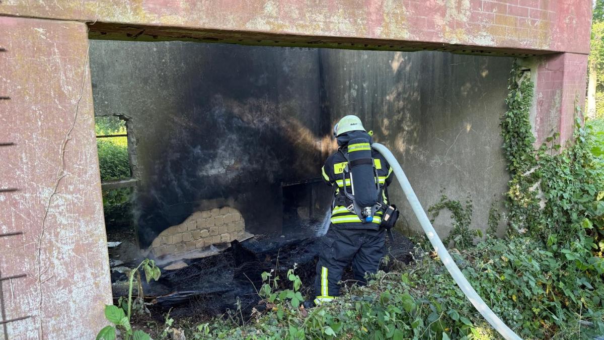 Feuer-im-ehemaligen-Tierpark-Talge-in-Bersenbr-ck-ausgebrochen