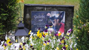 Elmshorn Tierfriedhof