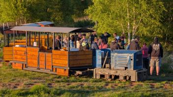 Besucher mitten im Moor