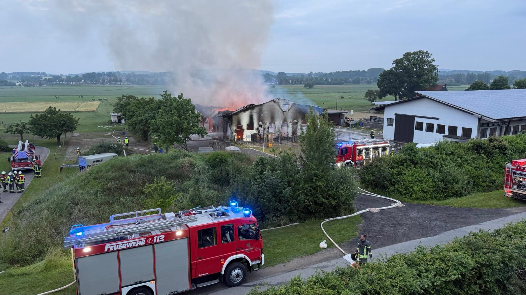 Brand in Pferdestall in Melle – mindestens fünf Tiere tot
