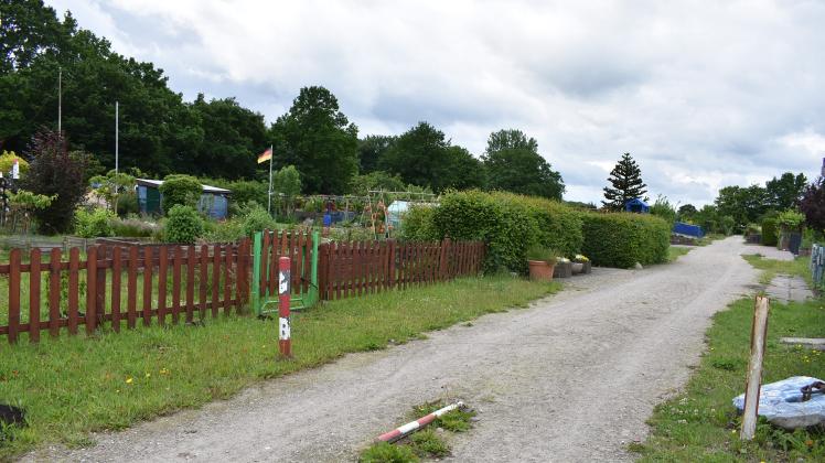 In der Zwangsversteigerung ist der Teil links des Hauptwegs, der einmal durch die Kleingartenanlage Brunnenstraße führt. Kleingarten Brunnenstraße Barmstedt