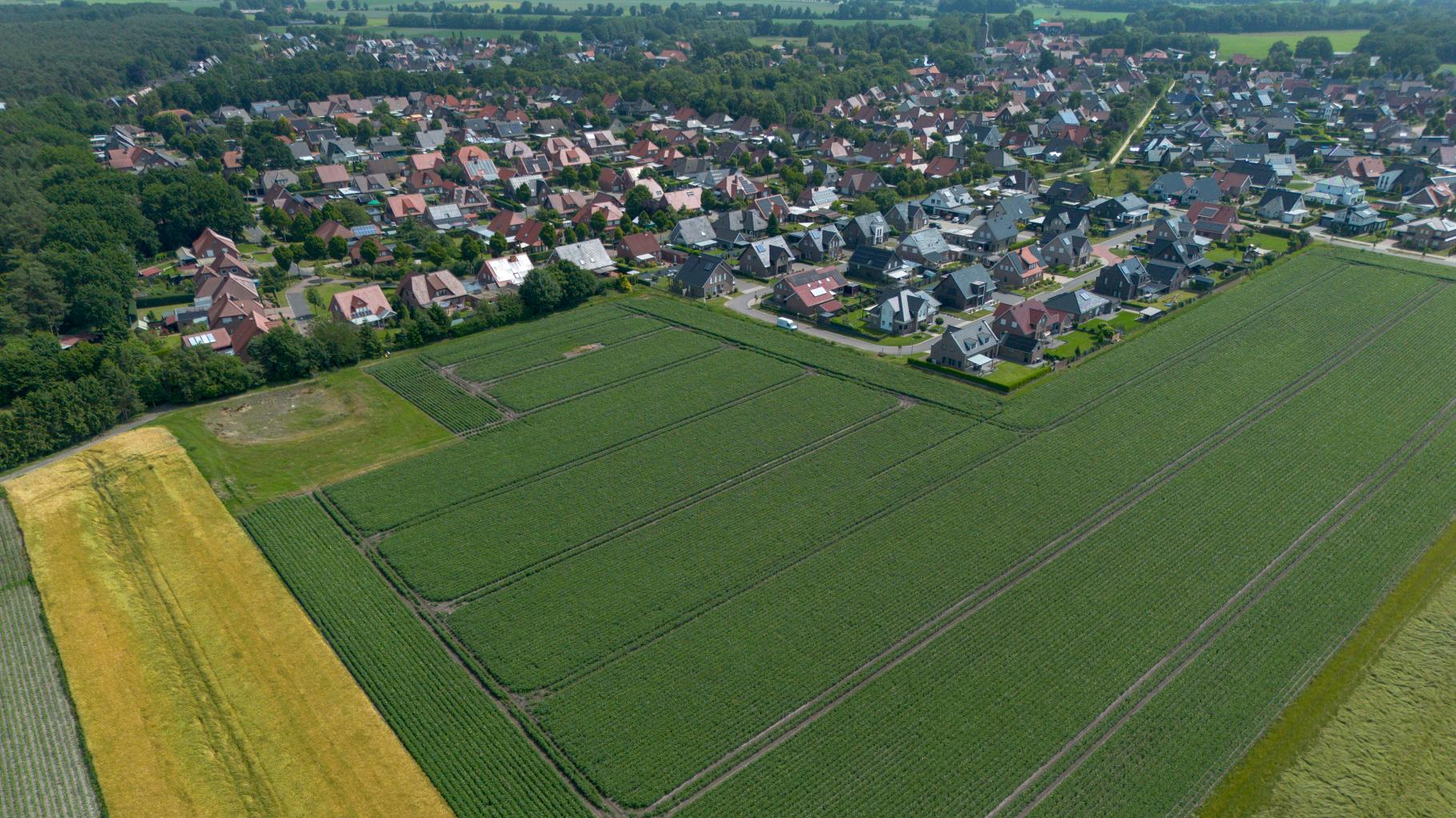 18 neue Häuser geplant: Warum Harens Pläne am Wesuweer Esch für Diskussionen sorgen