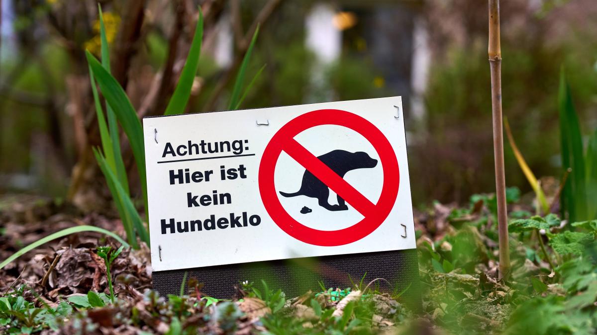 Fine for dog feces in front gardens: Heist contacts the public order ...
