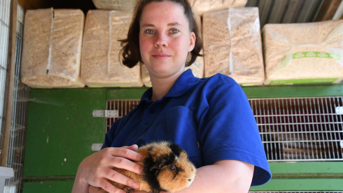 Bad Oldesloe: So schützen Sie Haustiere vor Hitzschlag im Sommer