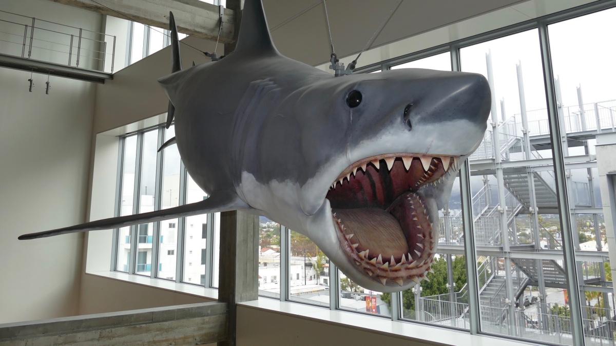 «Der Weiße Hai» – Spielberg: Das Kino Event Von Nordsee Bis Bodensee, Das Sie Nicht Verpassen Sollten! - jhxtu8q