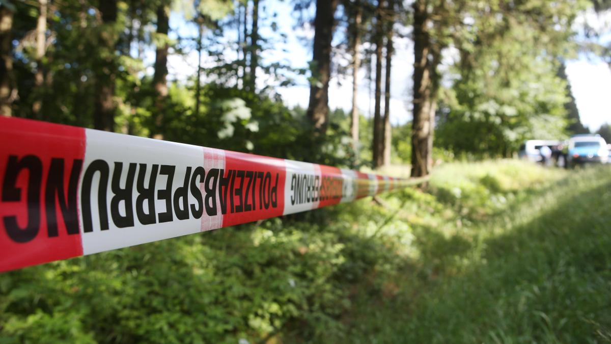 Ende-einer-Vermisstensuche-Leiche-einer-Seniorin-im-Wald-bei-Halle-entdeckt