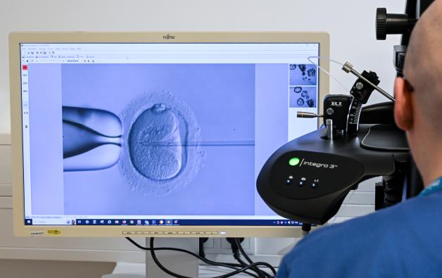 Knstliche Befruchtung: Neue Methode soll Hormonspritzen ersetzen
