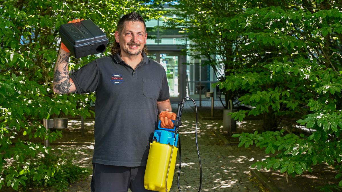 Ratteninvasion im Kreis Pinneberg: Experten warnen vor Zunahme – Was Sie dagegen tun können!