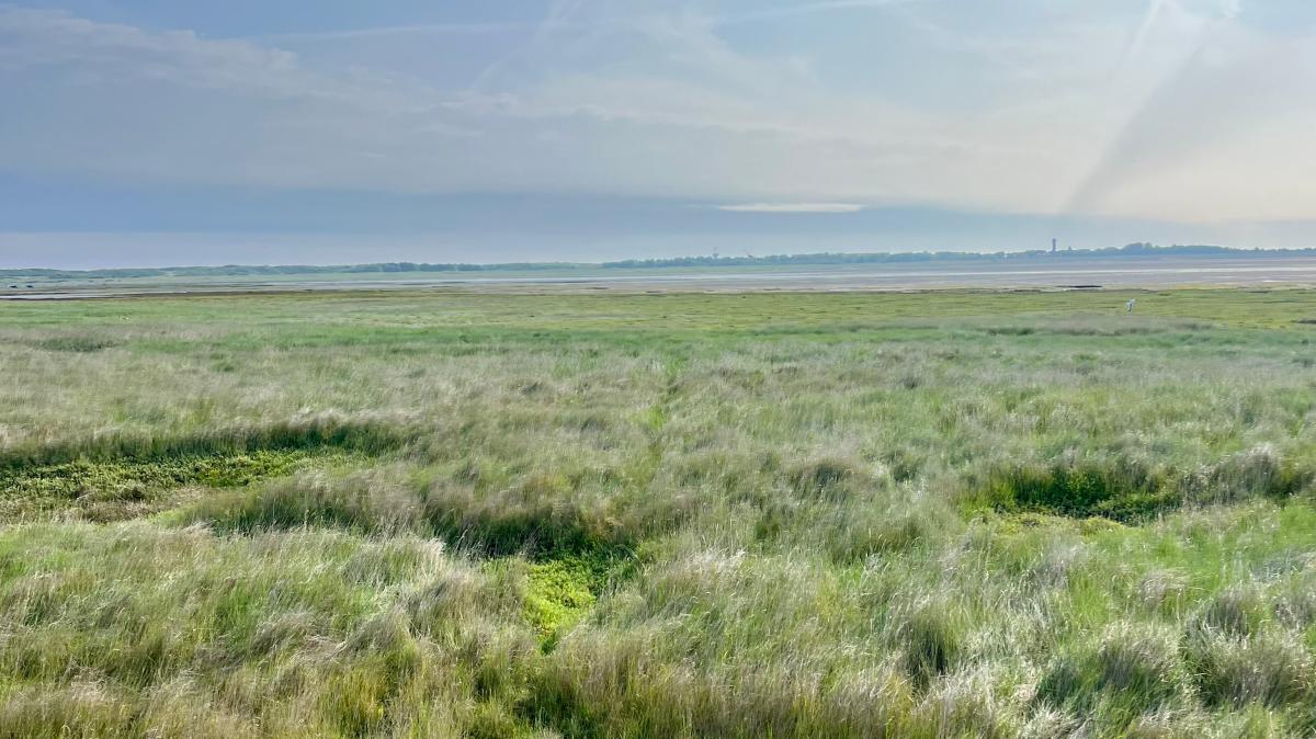 Wangerooge-f-r-Kinder-Senioren-Familien-im-Test-Insider-Tipps-und-Preise