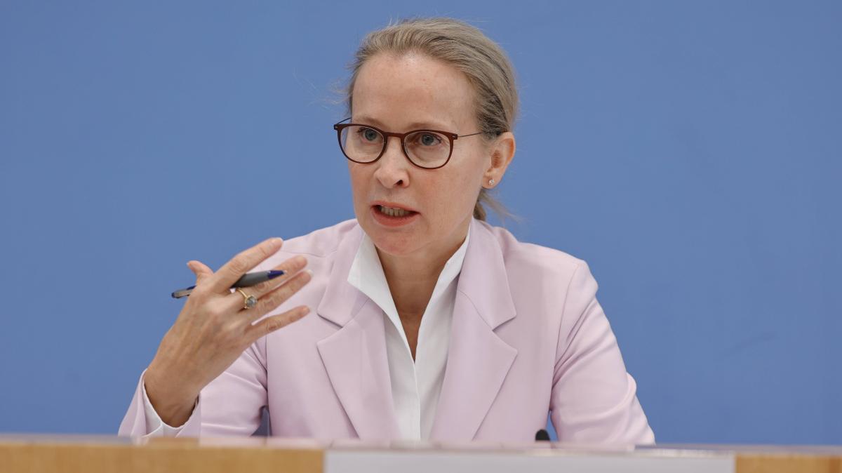 Judge election fiasco: How Brosius-Gersdorf defends itself against ...