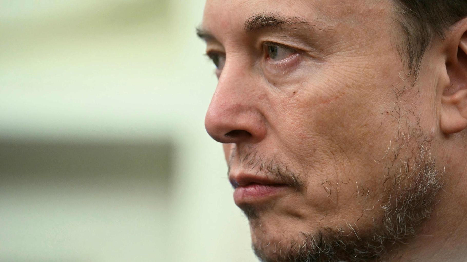 Fakten oder Fiktion? Musk präsentiert eigene Enzyklopädie in Konkurrenz zu Wikipedia