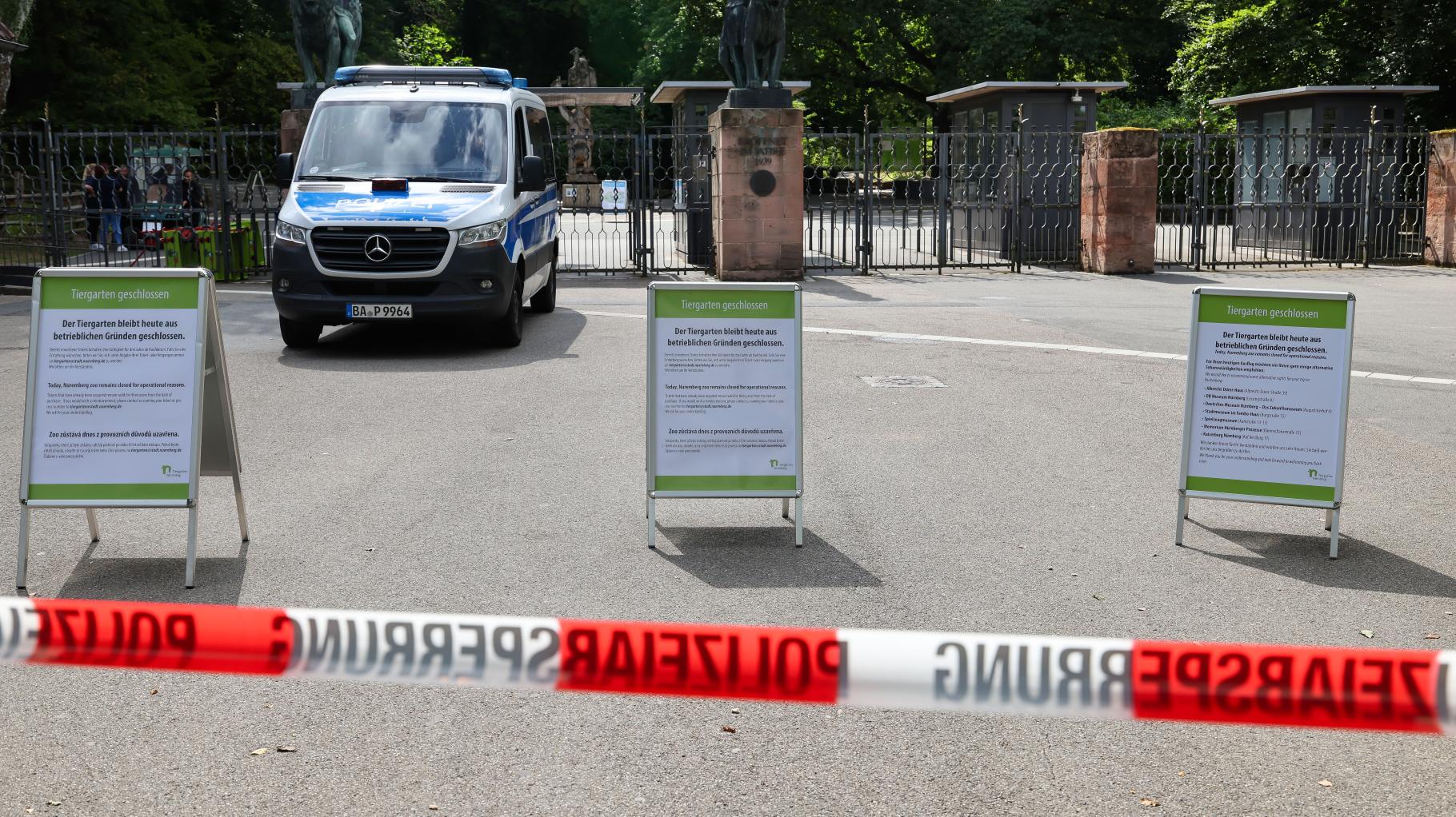 Nürnberger Tiergarten tötet zwölf gesunde Paviane – Aktivisten stürmen Gelände