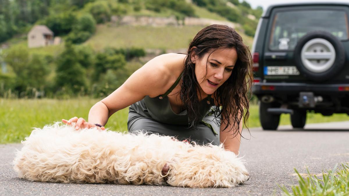 Bettina-Zimmermann-ber-Social-Media-Es-ist-eine-wahnsinnig-aufgebauschte-Welt-