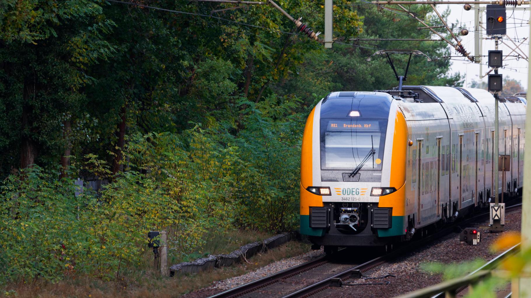 Ab ins Gebüsch: Regionalexpress macht außerplanmäßige Pinkelpause