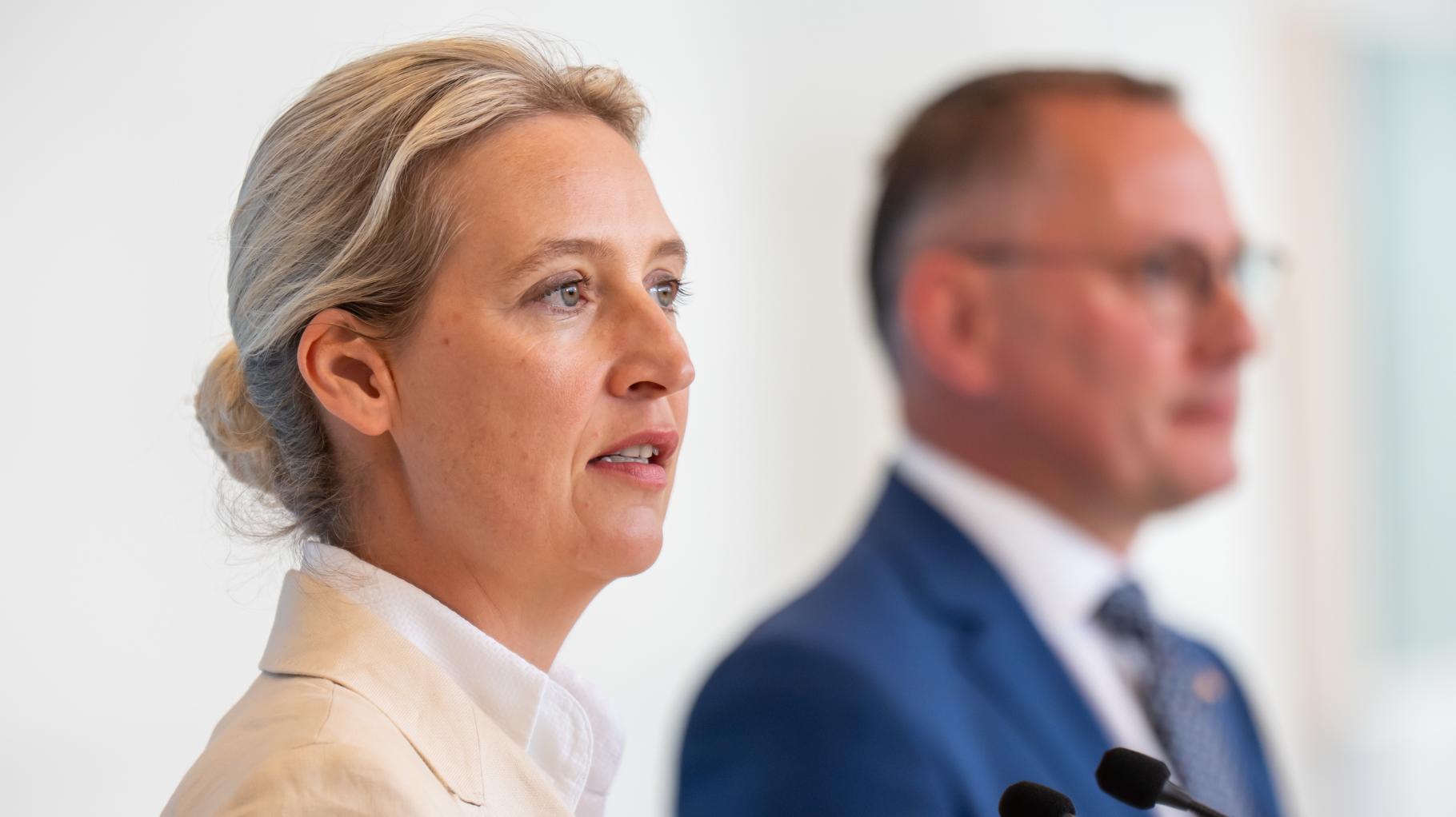 Wegen Verdachtsfall-Einstufung: AfD zieht vor Bundesverfassungsgericht