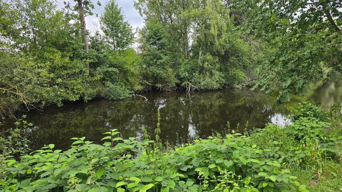 Gro-er-Wasserrettungsalarm-in-Quakenbr-ck-Notfall-war-aber-an-Land