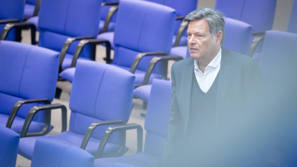 Robert Habeck gibt sein Bundestagsmandat ab