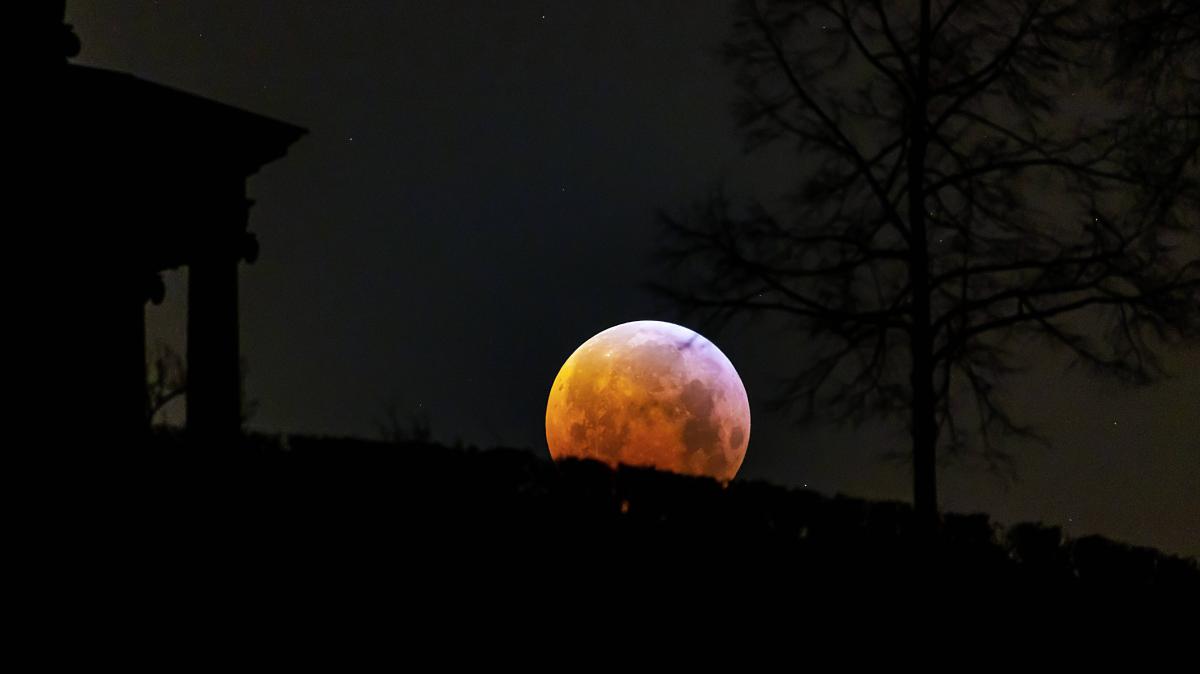 Total lunar eclipse 2025: Blood moon spectacle over Delmenhorst