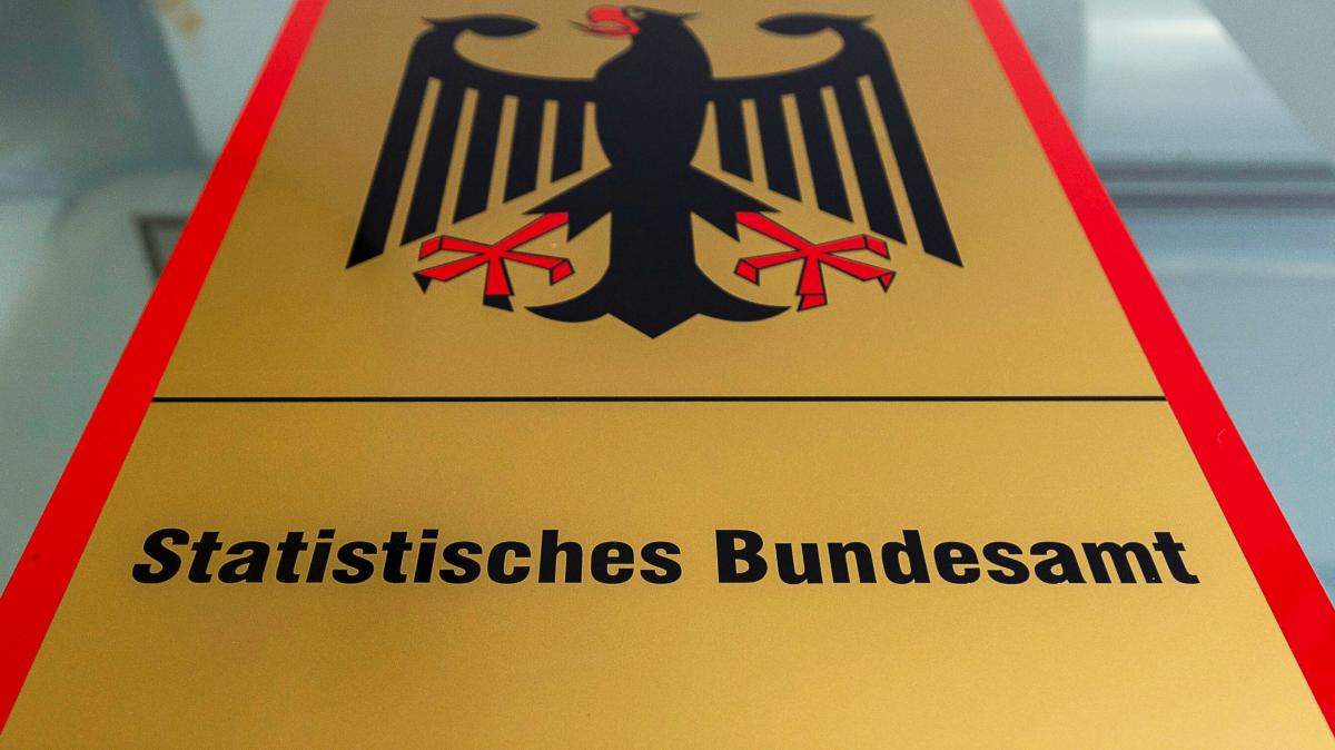 Vorsicht-Betr-ger-geben-sich-als-Statistisches-Bundesamt-aus-was-Sie-wissen-m-ssen