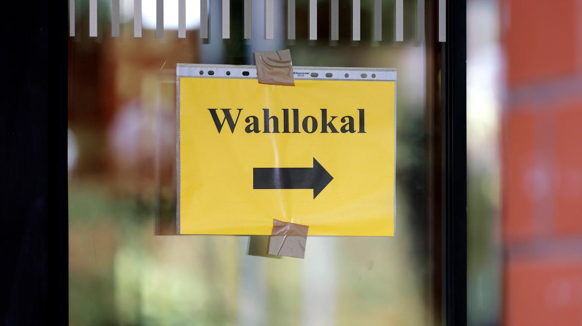 Local elections: These candidates are running for the FDP Delmenhorst