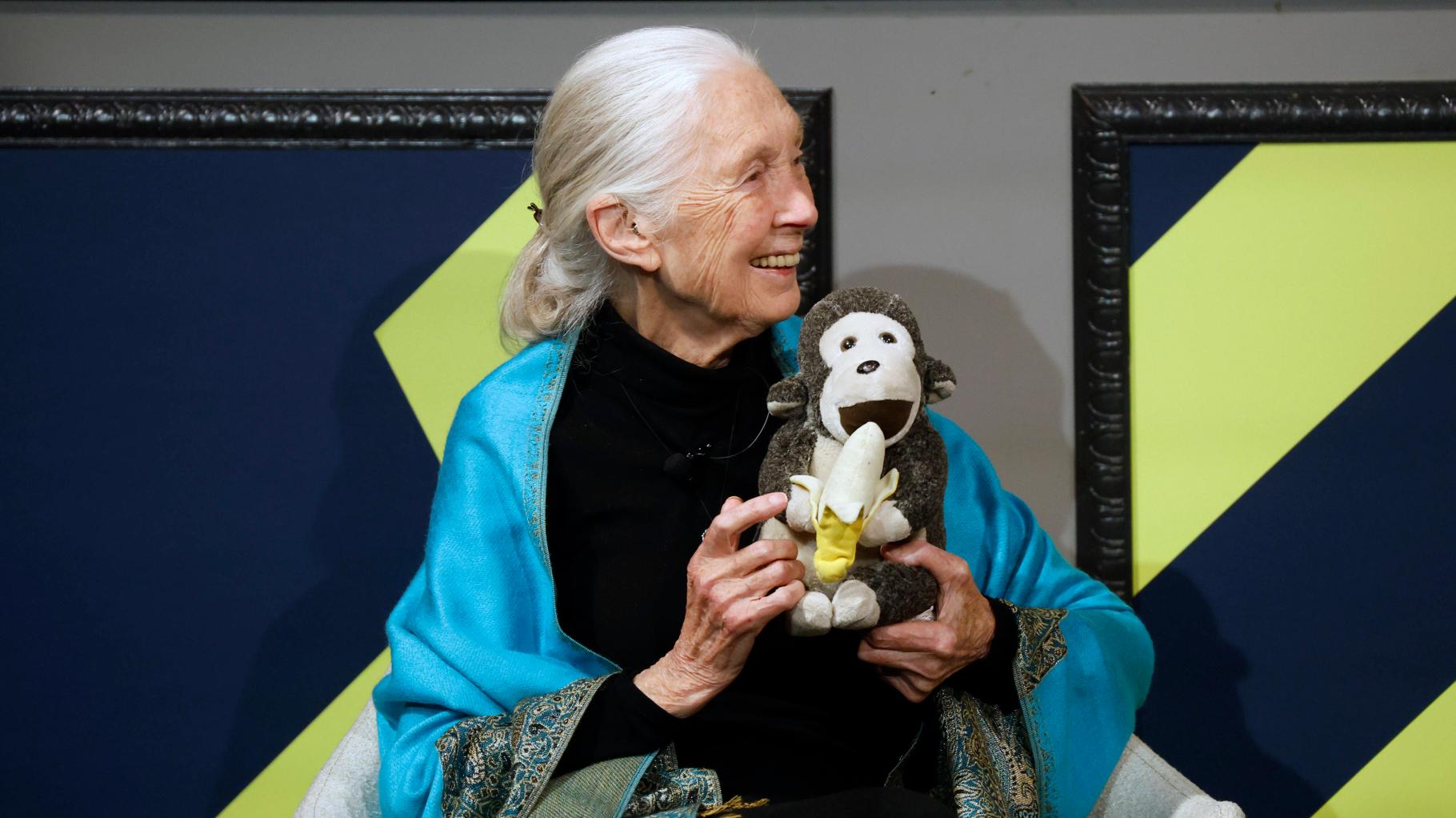 Studie über Schimpansen machte sie berühmt: Forscherin Jane Goodall ist tot