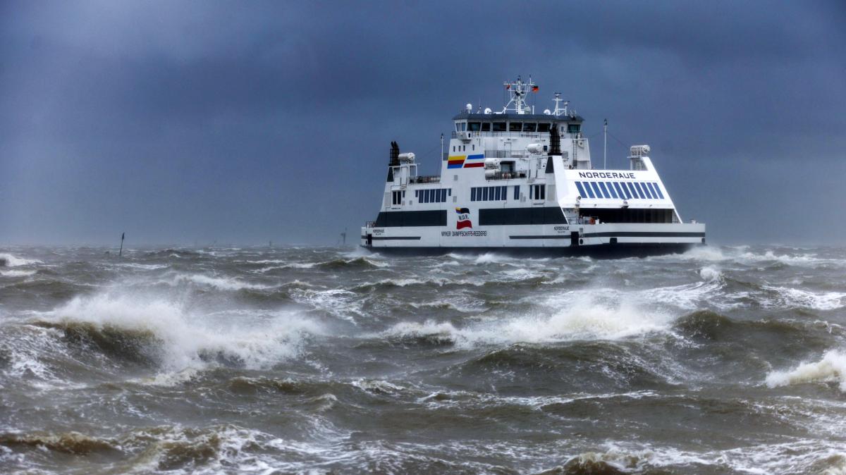 How to prevent seasickness: 10 tips from the sea rescuers