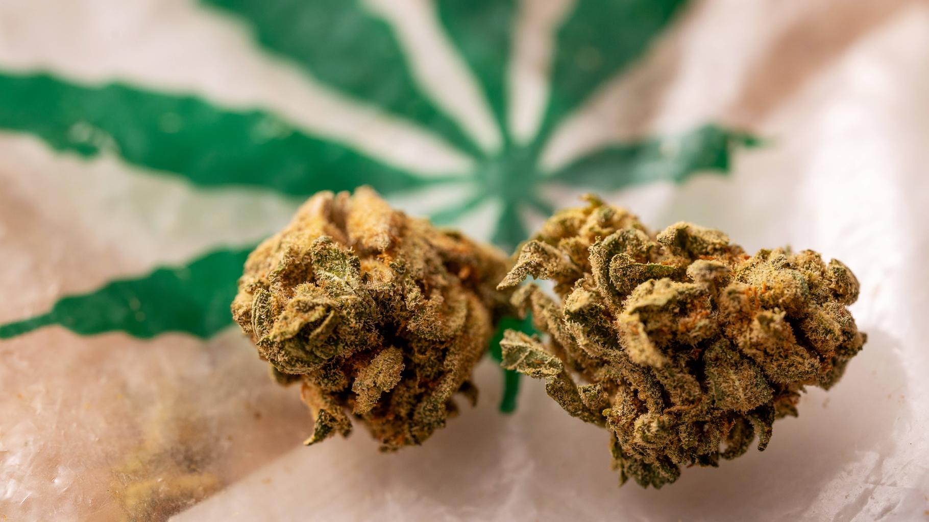 Ein Jahr Cannabis: Kaum Daten, viel Kritik und ein vergessenes Projekt