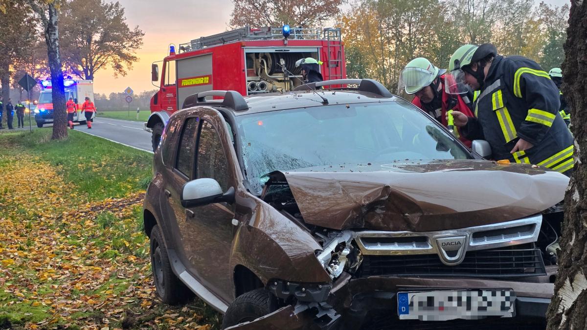 Unfall-in-Bippen-89-J-hriger-schwer-verletzt-Mops-wohlauf