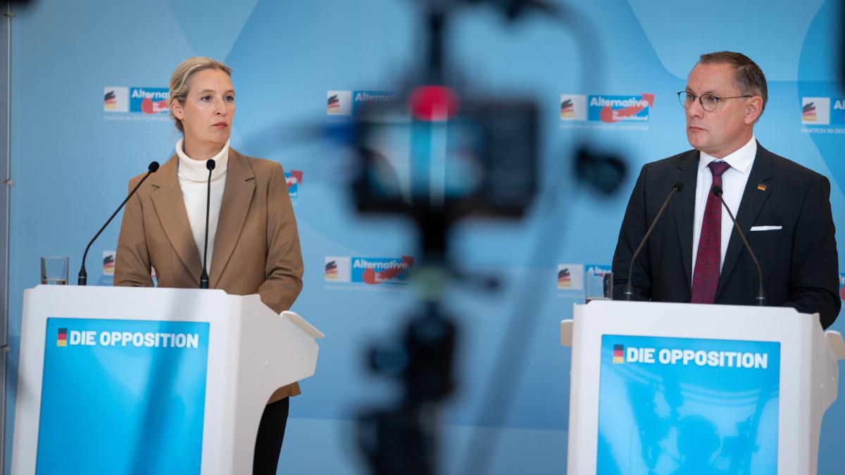 A trip causes controversy: The AfD and its Russia problem.