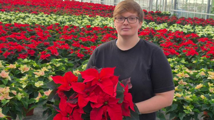 blumenerde zimmerpflanzen kaufen Universelle Blumenerde 30L – Pflanzerde für Zimmerpflanzen & Garten –