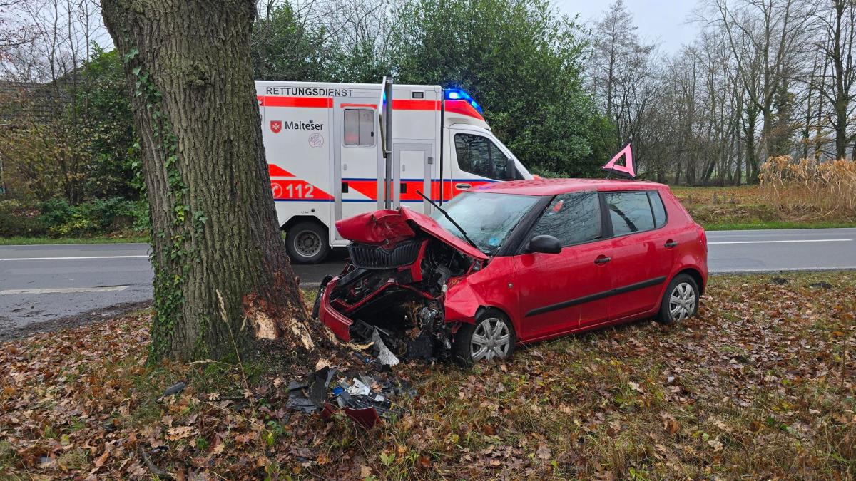 Wildunfall-in-Neuenkirchen-Frau-aus-Recke-schwer-verletzt