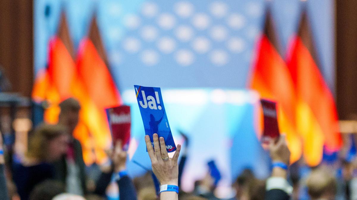 Generation Germany: The name of the AfD youth wing is shameless