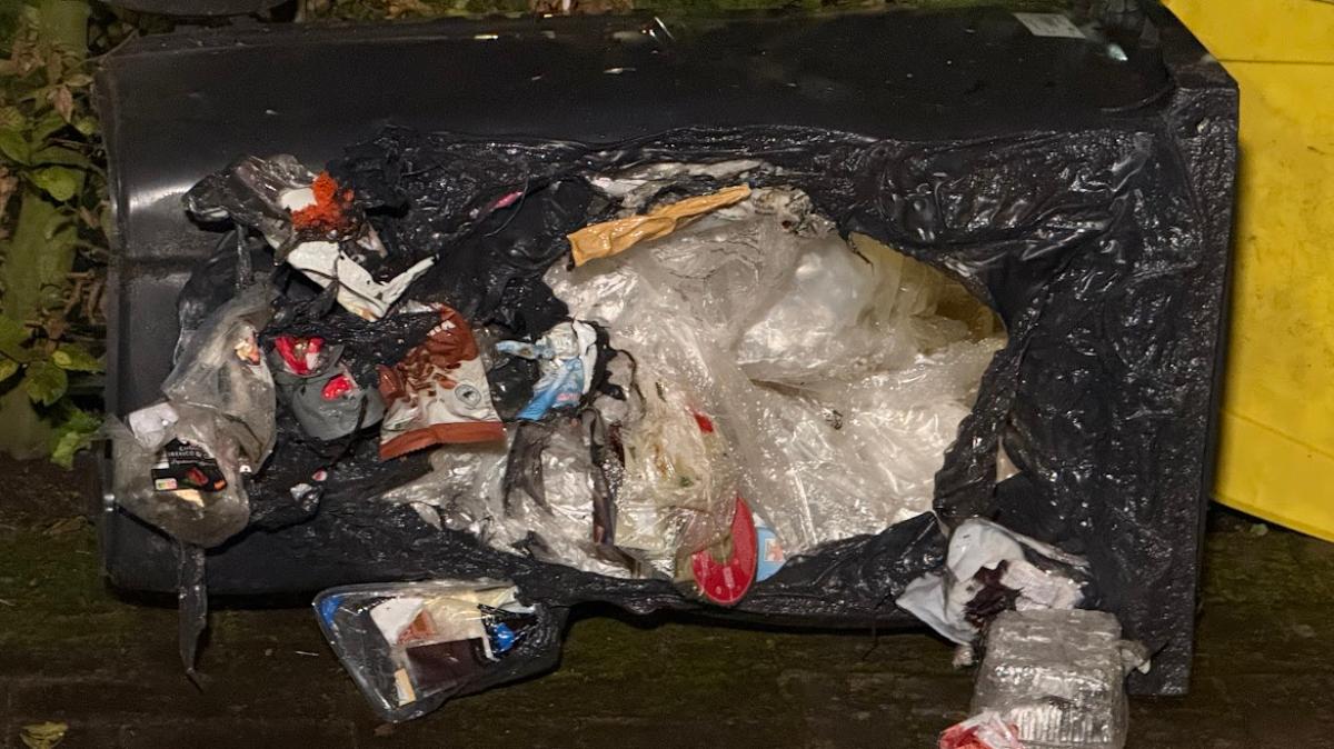 Nighttime fires in Neumünster: Police search for arsonist
