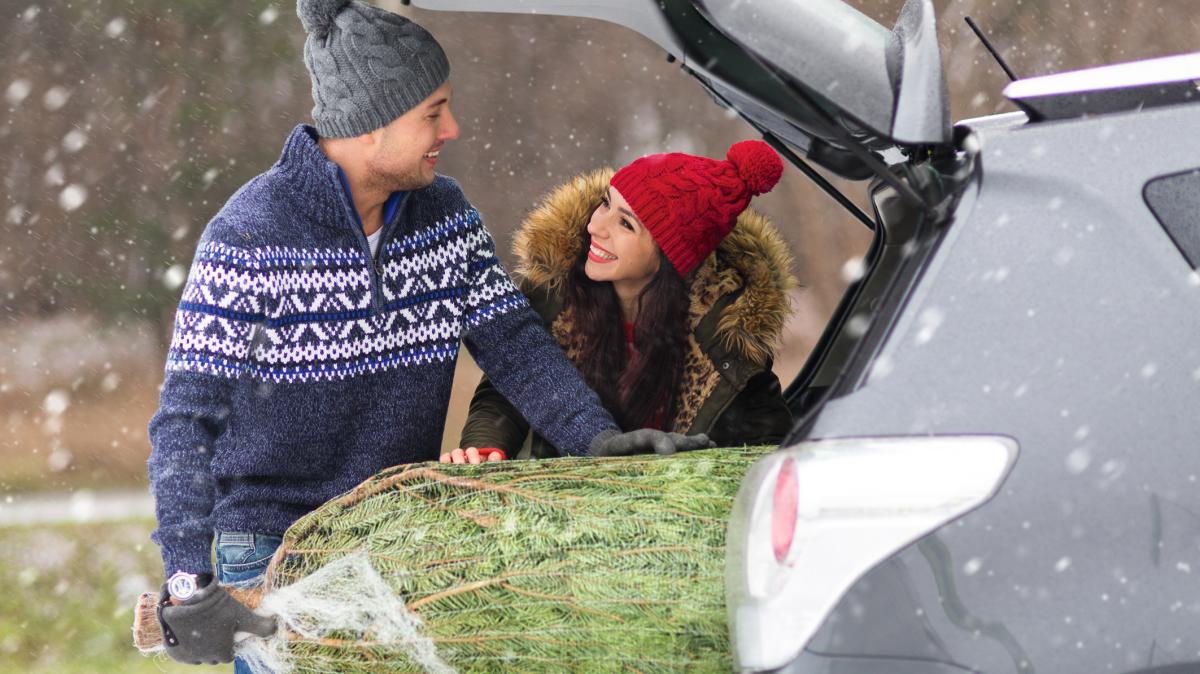 Tipps-von-T-v-und-Polizei-So-werden-Geschenke-im-Pkw-nicht-zu-t-dlichen-Geschossen