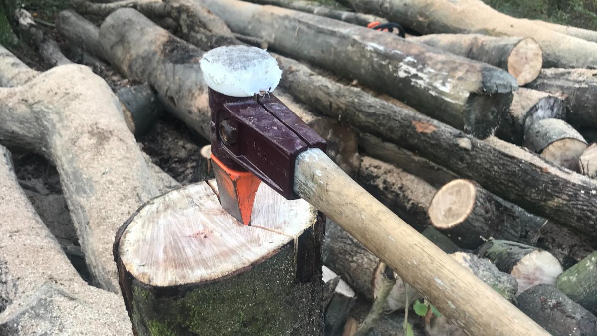 Mit-Axt-und-S-ge-Unbekannte-stehlen-gro-e-Menge-Buchenholz-in-Alfhausen