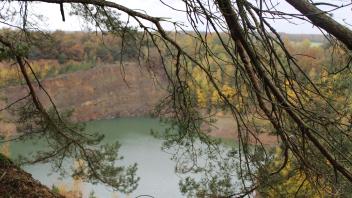 Blick auf den See im ehemaligen Steinbruch im Ueffelner Gehn: Das Bild entstand Anfang November.