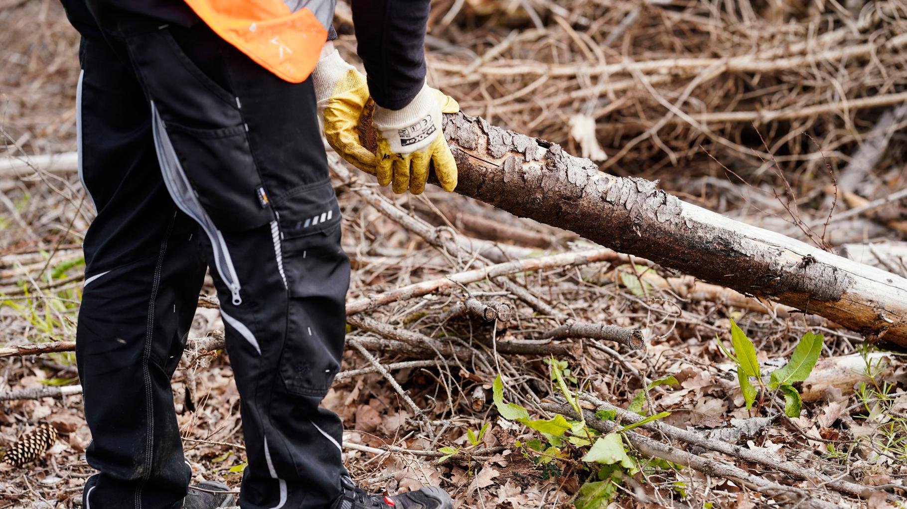 Diese Stadt in Niedersachsen will eine Arbeitspflicht für Asylbewerber prüfen