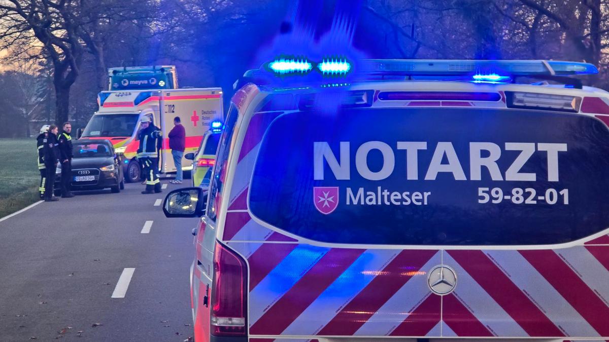 Hund-auf-der-Stra-e-Frau-aus-Bippen-bei-Unfall-in-Merzen-schwer-verletzt