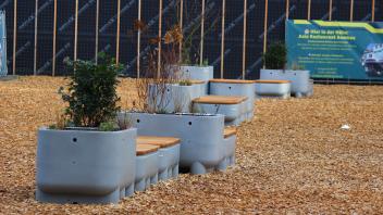 Auf der Hertie-Fläche sind seit einigen Wochen vier Sitzbänke samt Planzfläche zu Hause – zumindest für ein halbes Jahr. Die Miete ist allerdings nicht ganz günstig.