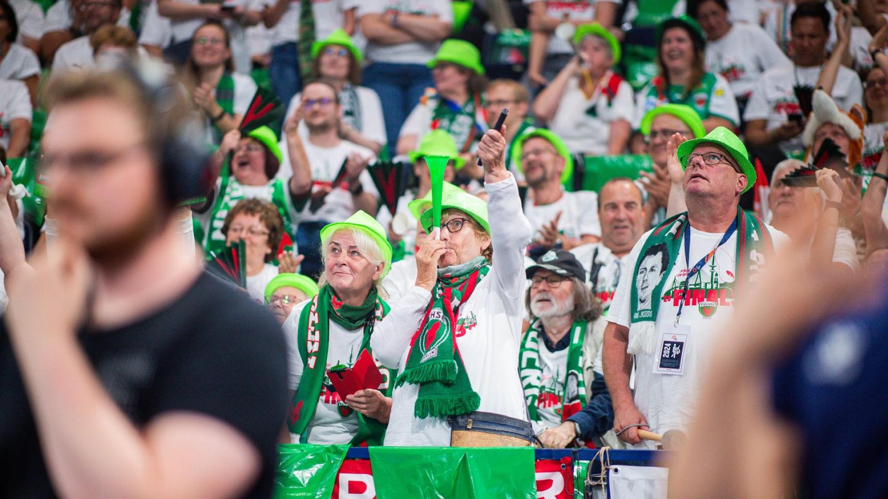 Stirbt der Handball-Fan aus?