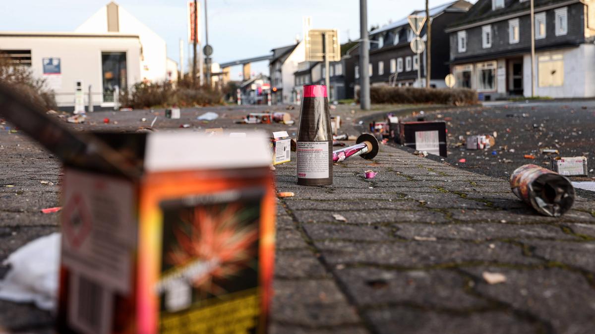 B-ller-und-Raketen-Muss-ich-den-Silvesterm-ll-der-Nachbarn-von-meinem-Grundst-ck-entsorgen-